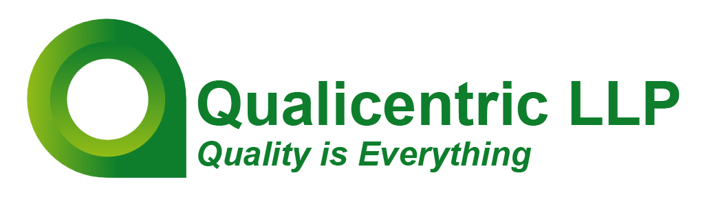 Financial Analyst - Qualicentric LLP